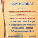 Сертификат ф.13